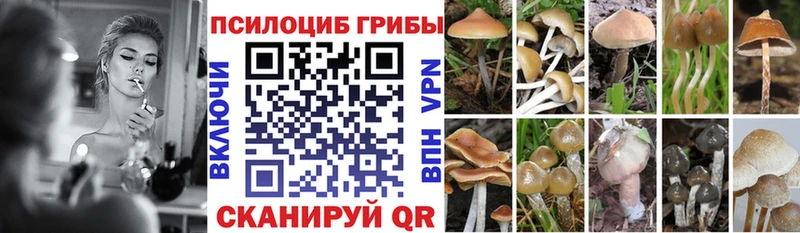 дарк нет состав  Касли  Псилоцибиновые грибы Psilocybine cubensis 